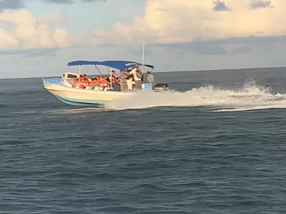 Embarcación navegando frente a la costa
