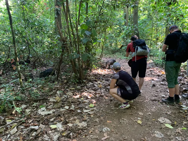 Visitantes observando fauna desde el sendero
