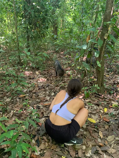 Visitor watching wildlife among vegetation