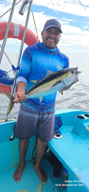 Persona sosteniendo un pez durante una salida en bote