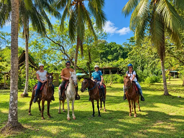 Travellers on horseback among palm trees