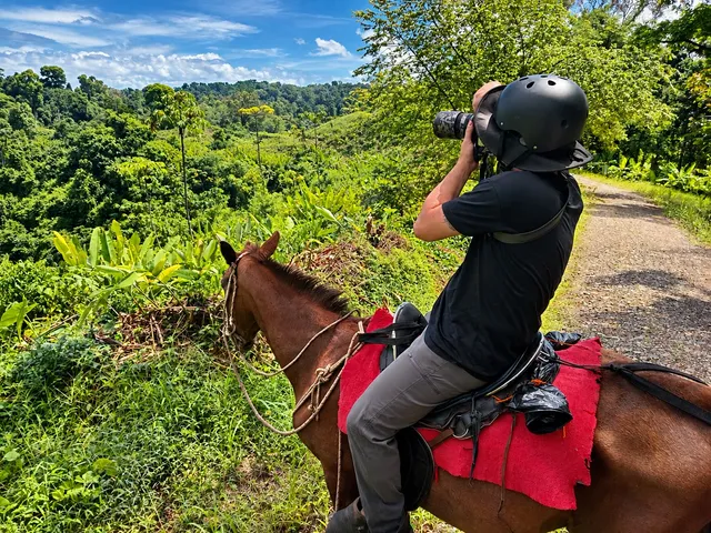 Rider photographing the forest scenery