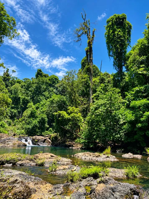 River pool among tropical vegetation