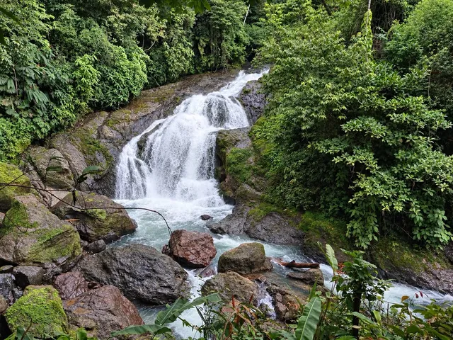 Waterfall and river surrounded by forest